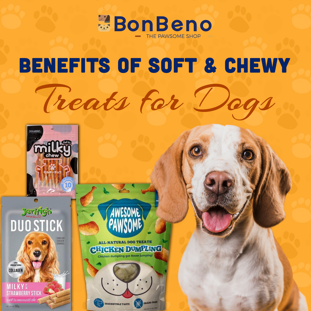 Benefits of Soft and Chewy Treats for Dogs