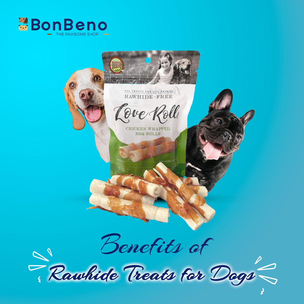 Rawhide Treats For Dogs: What Makes Them Special?