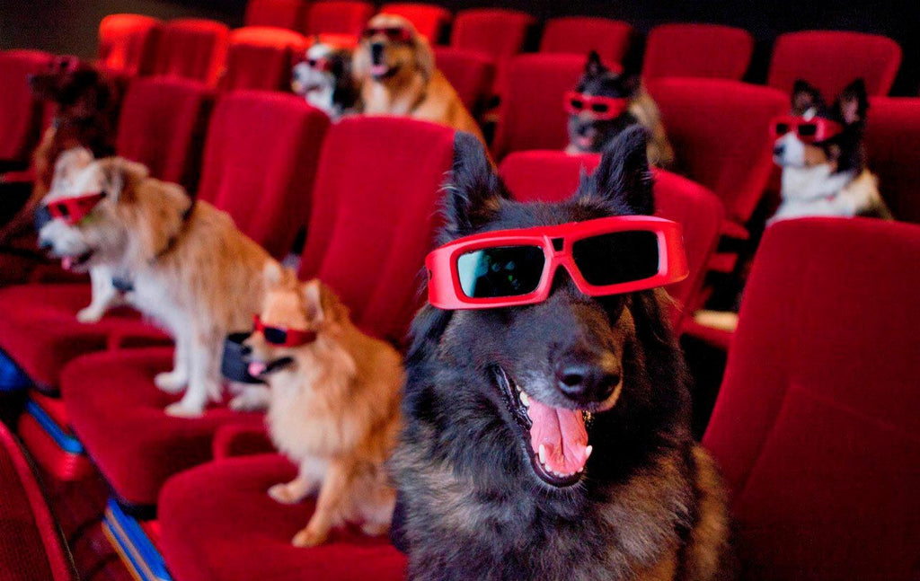 5 AWESOME DOG MOVIES YOU CAN WATCH ON NETFLIX