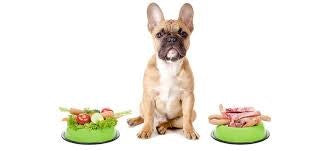 7 THINGS YOU NEED TO KNOW ABOUT PET NUTRITION